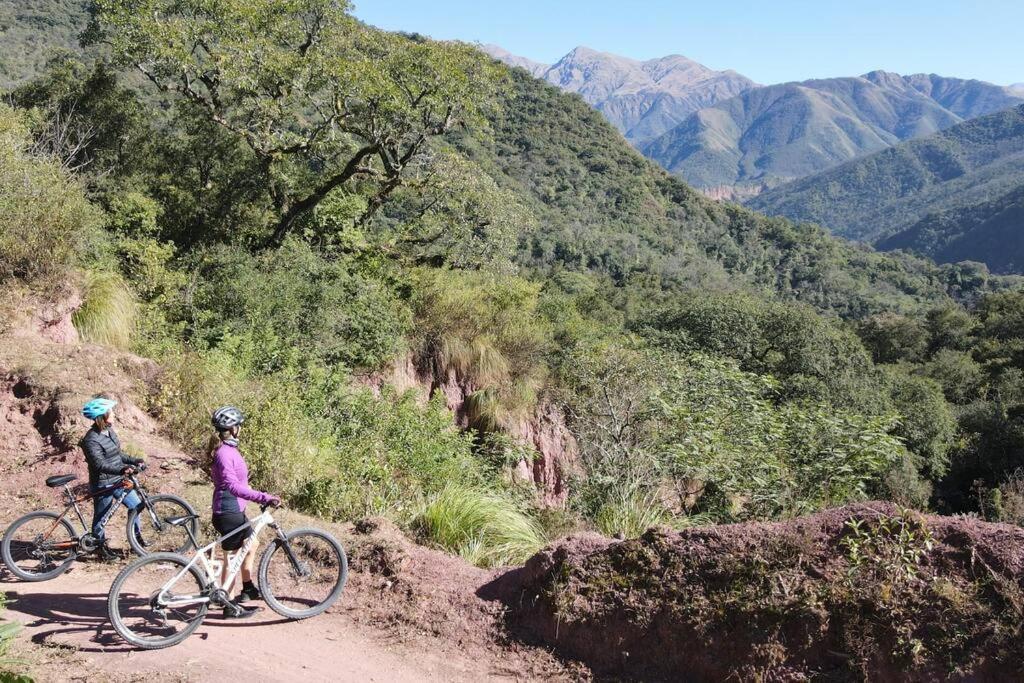 Complejo De Eco-sustentables - La Escondida - Chalet *